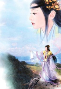 头号赘婿