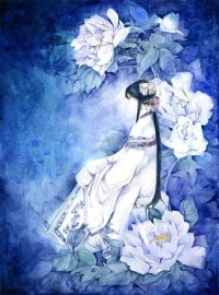 我与真祖与大小姐与问号