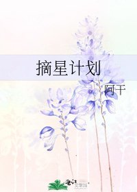 摘星计划